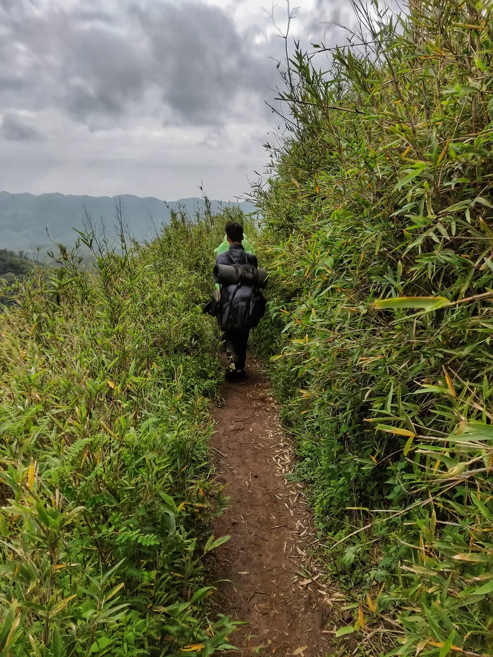 Photo of Dzükou Valley, Viswema, Nagaland, India by Offbeat Voyagers
