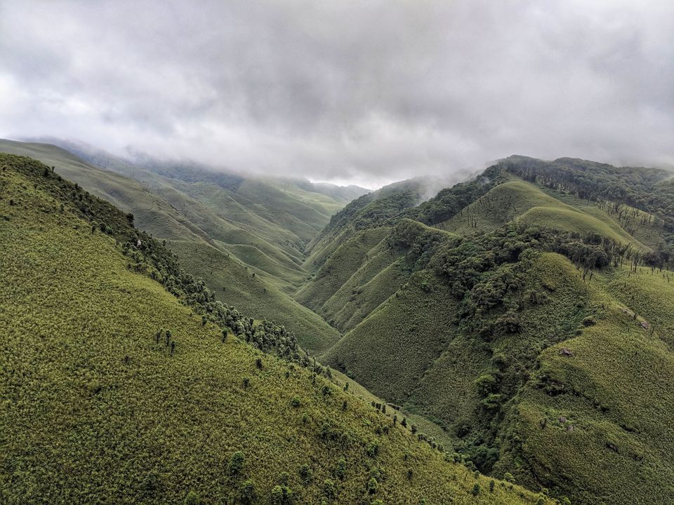 Photo of The Enchanting Border, Dzükou Valley #northeastphotos by Offbeat Voyagers