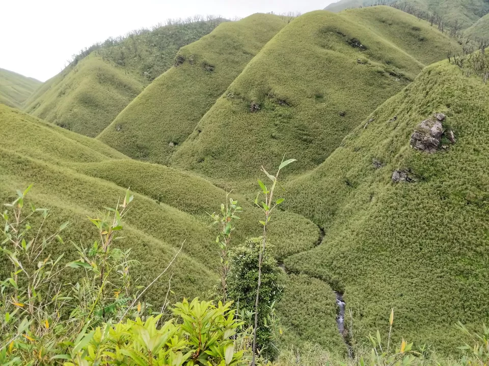 Photo of Dzükou Valley, Viswema, Nagaland, India by Offbeat Voyagers
