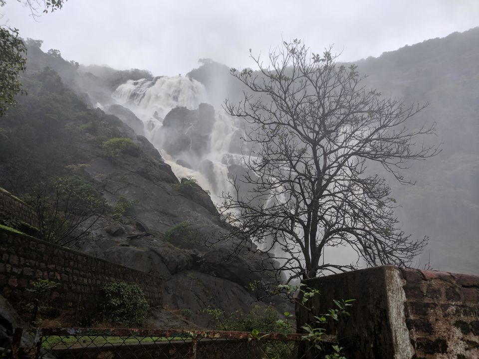 Photo of Dudhsagar Falls, Sonaulim, Goa, India by Offbeat Voyagers
