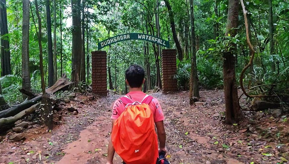 Photo of The Goa They Didn't Tell You About - Dudhsagar Falls by Offbeat Voyagers