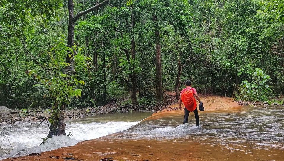 Photo of The Goa They Didn't Tell You About - Dudhsagar Falls by Offbeat Voyagers