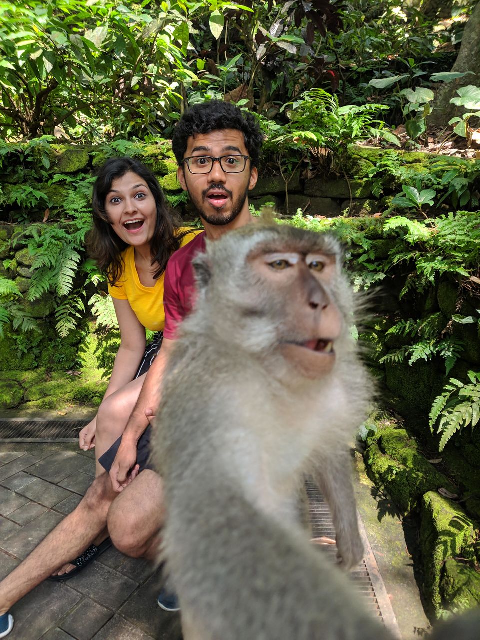 Photo of Sacred Monkey Forest Sanctuary, Jalan Monkey Forest, Ubud, Gianyar, Bali, Indonesia by Offbeat Voyagers
