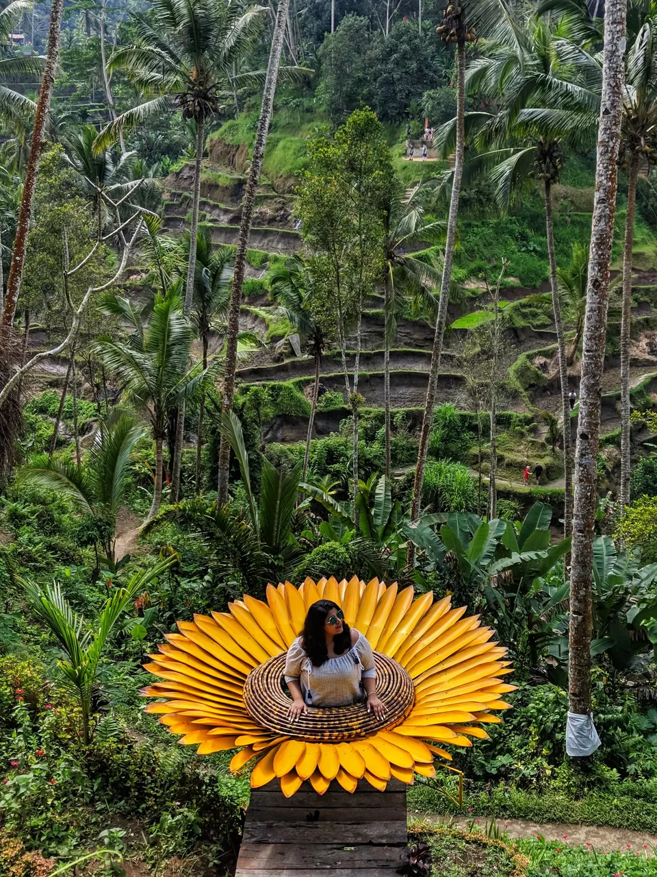 Photo of Tegallalang Rice Terrace, Jalan Raya Tegallalang, Tegallalang, Gianyar, Bali, Indonesia by Offbeat Voyagers
