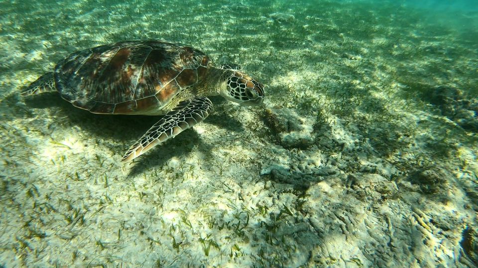 Photo of Gili Meno, Gili Indah, North Lombok Regency, West Nusa Tenggara, Indonesia by Offbeat Voyagers