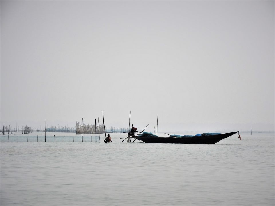 Photo of The Boats of Odisha by Rupa Abdi