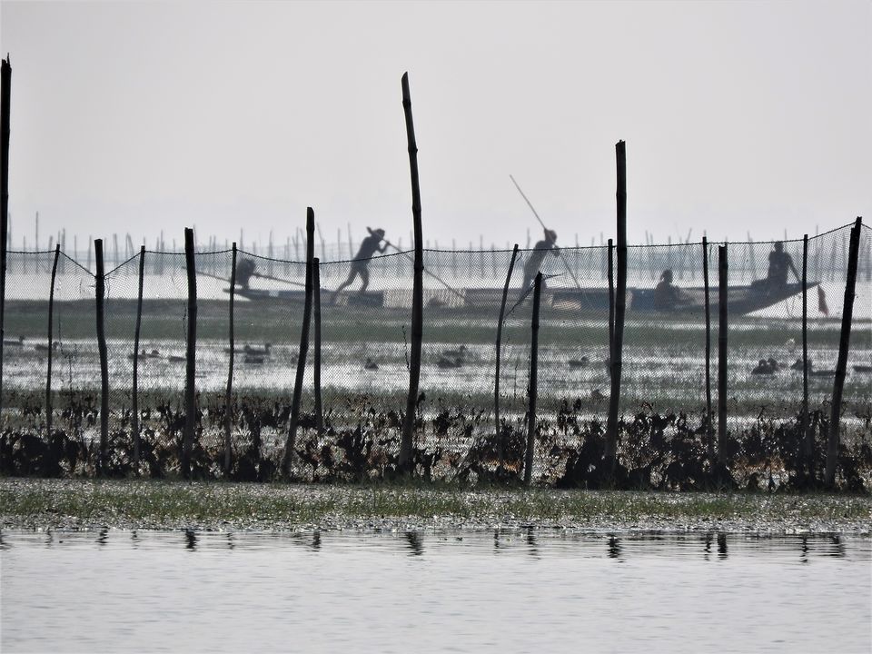 Photo of The Boats of Odisha by Rupa Abdi