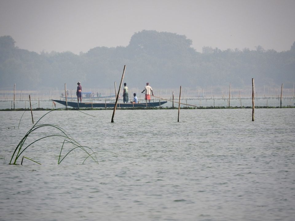 Photo of The Boats of Odisha by Rupa Abdi