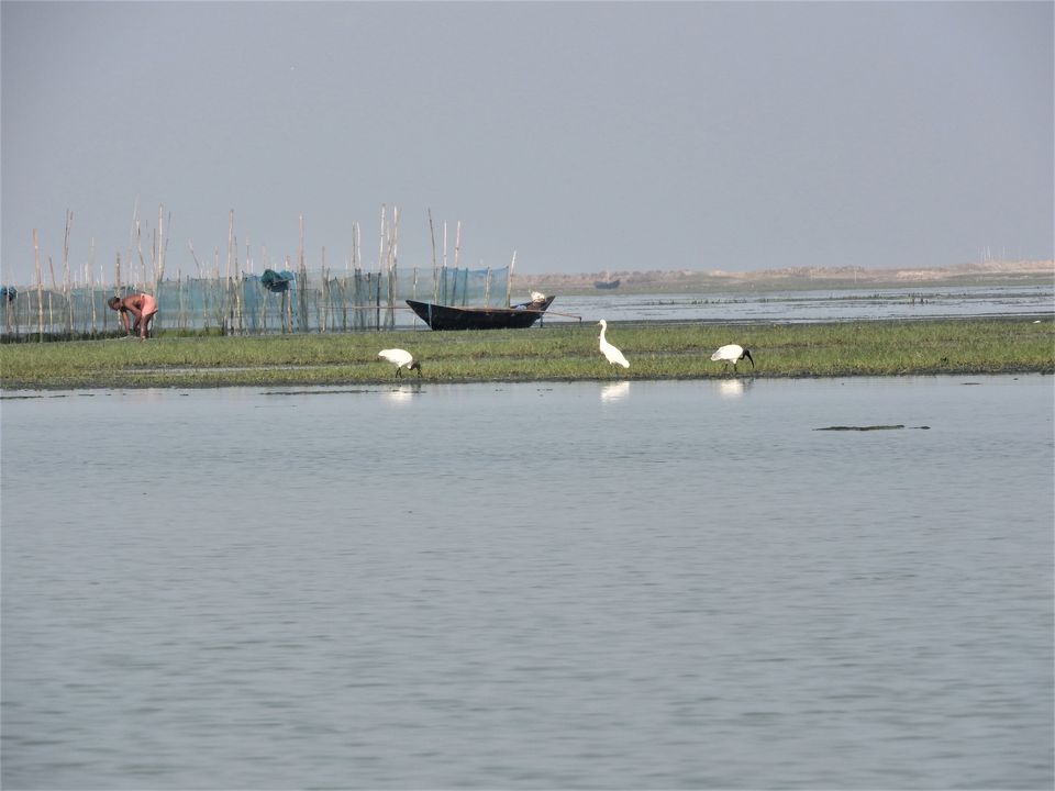 Photo of The Boats of Odisha by Rupa Abdi