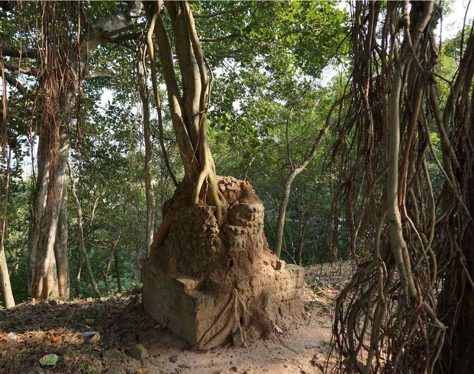 Photo of ODISHA-II: The Land of Hundred Monasteries by Rupa Abdi