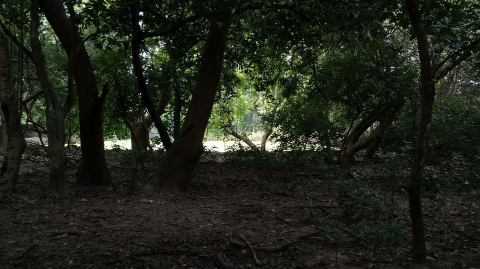 Photo of ODISHA-III:The Oc-cult of Shakti 3/9 by Rupa Abdi