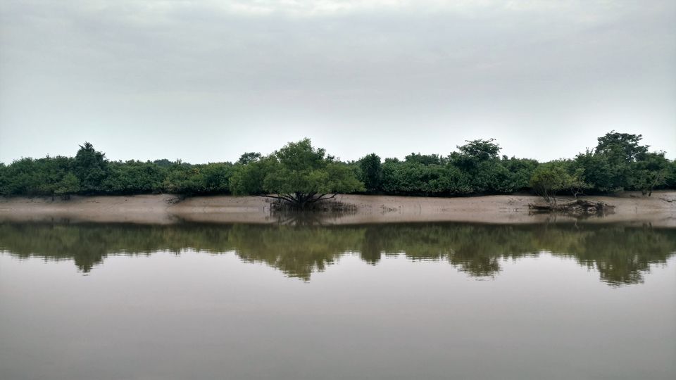 Photo of ODISHA-V: Bhitarkanika: The Swamp lands of our Unconscious mind by Rupa Abdi