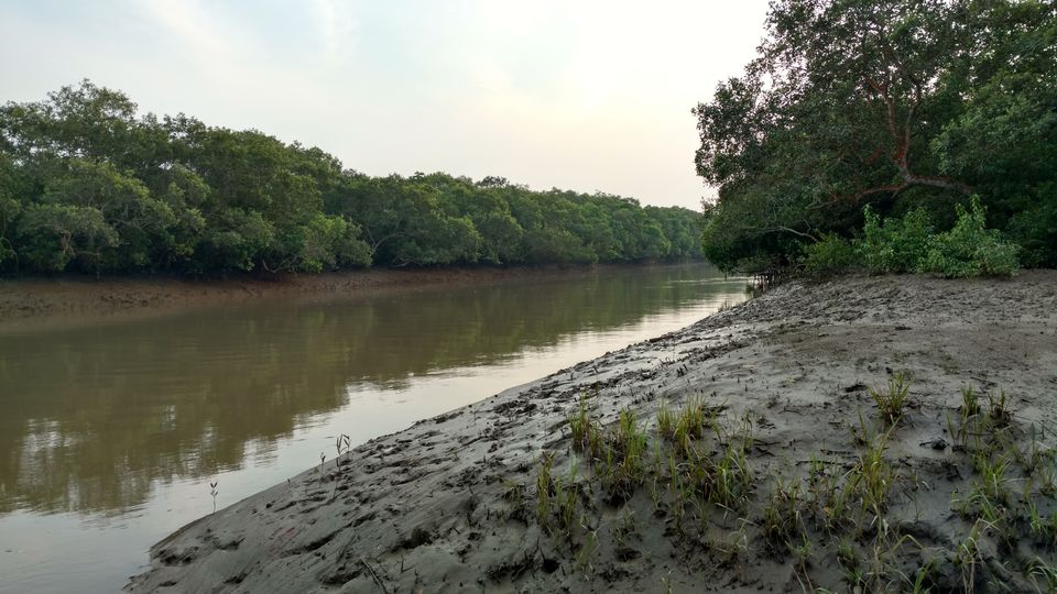 Photo of ODISHA-V: Bhitarkanika: The Swamp lands of our Unconscious mind 1/21 by Rupa Abdi