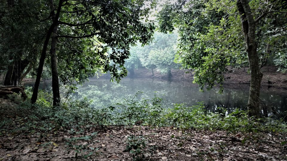 Photo of ODISHA-V: Bhitarkanika: The Swamp lands of our Unconscious mind 12/21 by Rupa Abdi