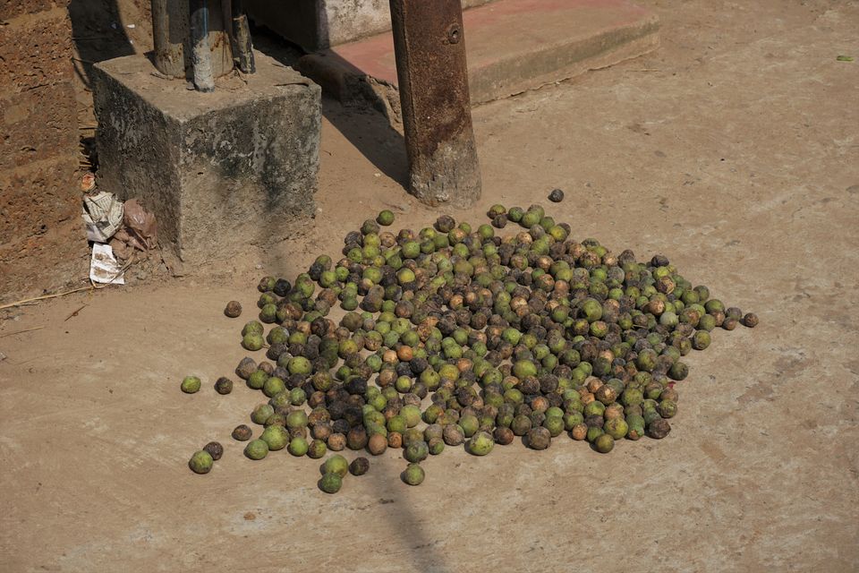 Photo of ODISHA-VII: Raghurajpur , Revering the gods with Art and Commerce 5/33 by Rupa Abdi