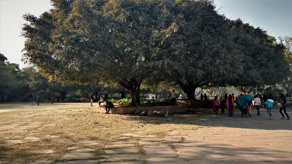 Photo of Hauz Khas Village - Three in One: Date, Dine and Shop 10/31 by Rupa Abdi