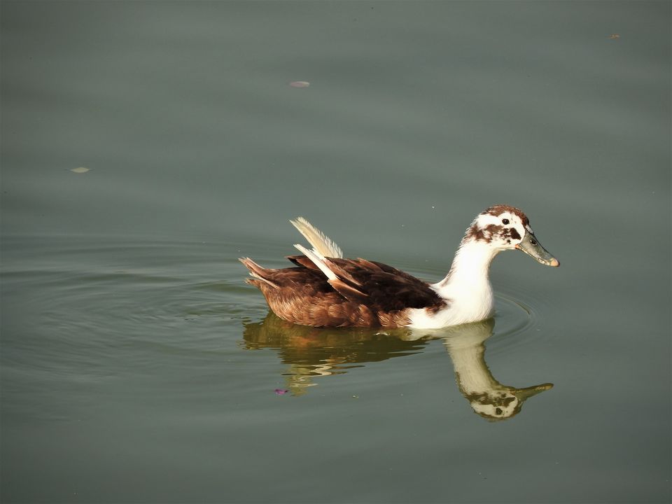 Photo of Hauz Khas Village - Three in One: Date, Dine and Shop 14/31 by Rupa Abdi