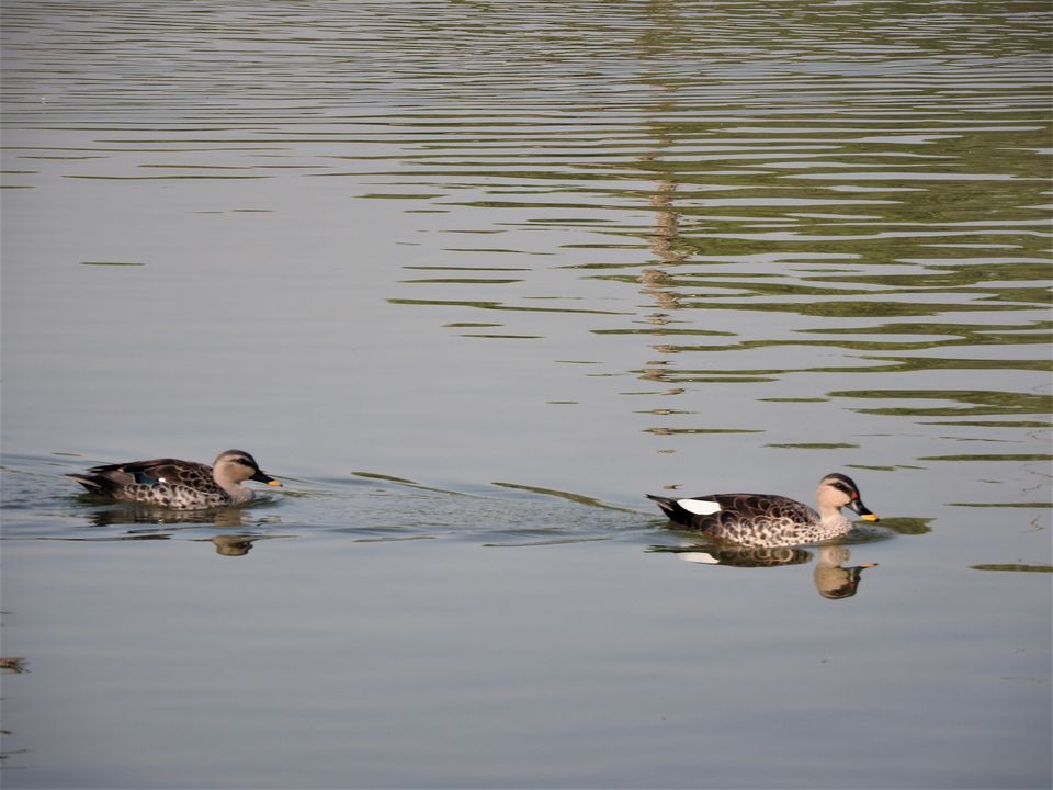 Photo of Hauz Khas Village - Three in One: Date, Dine and Shop 17/31 by Rupa Abdi
