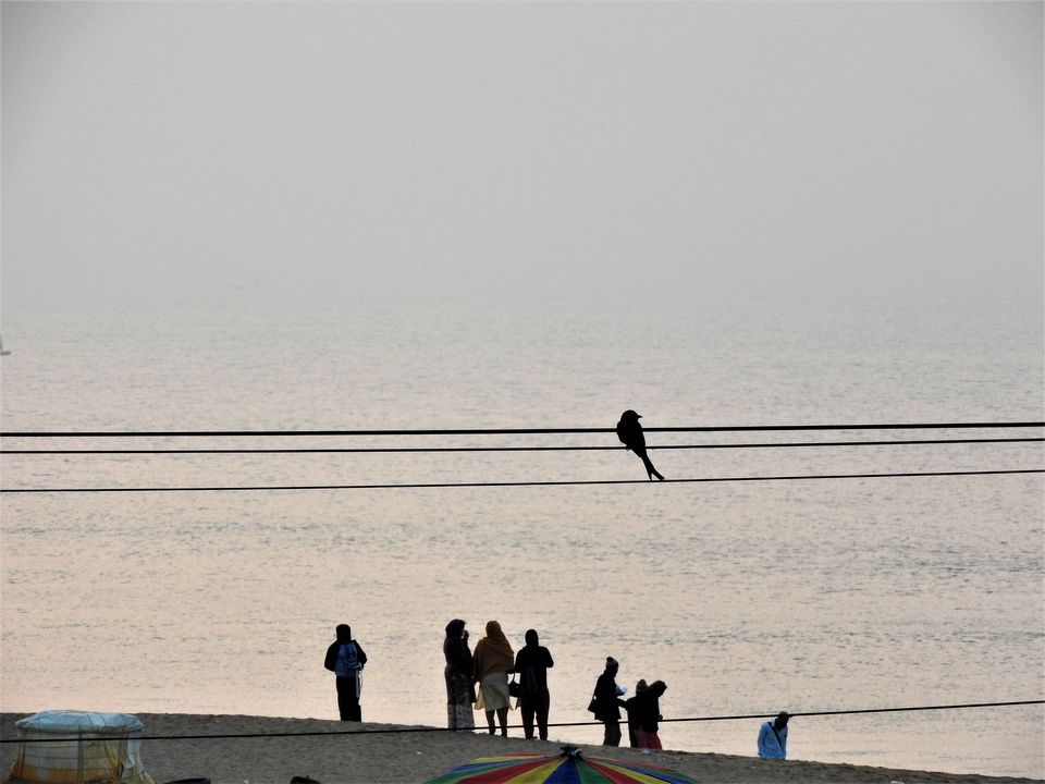 Photo of Puri, Odisha, India by Rupa Abdi