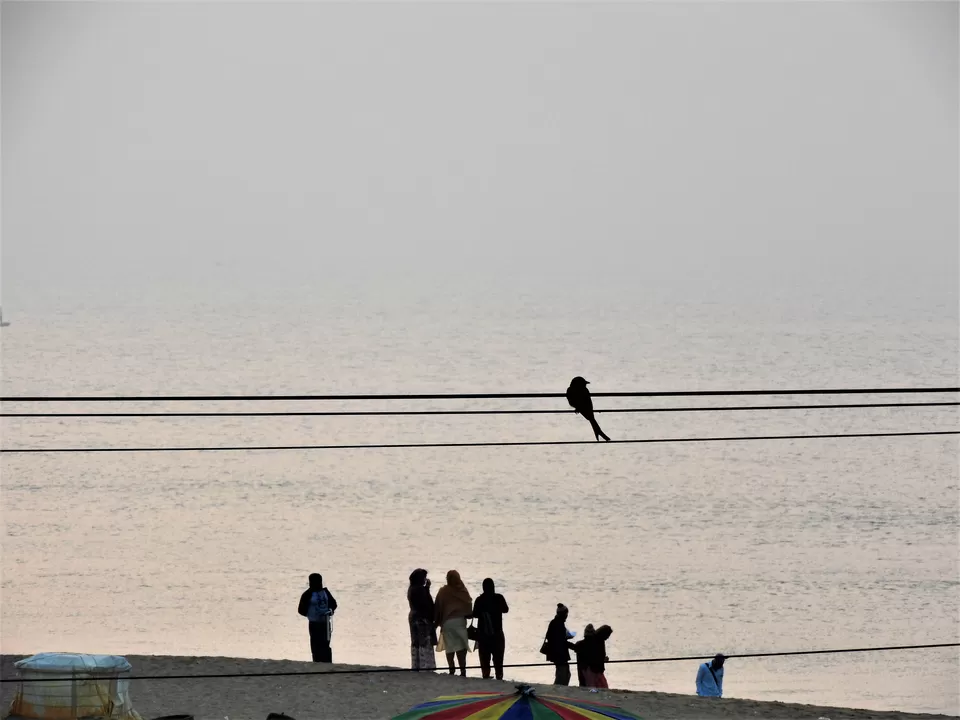 Photo of Puri, Odisha, India by Rupa Abdi