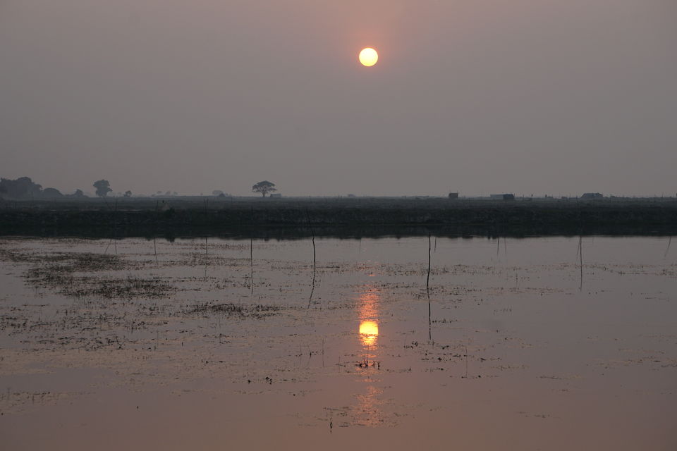 Photo of The Drongo and the Sun: The People and Landscapes of Odisha 4/41 by Rupa Abdi