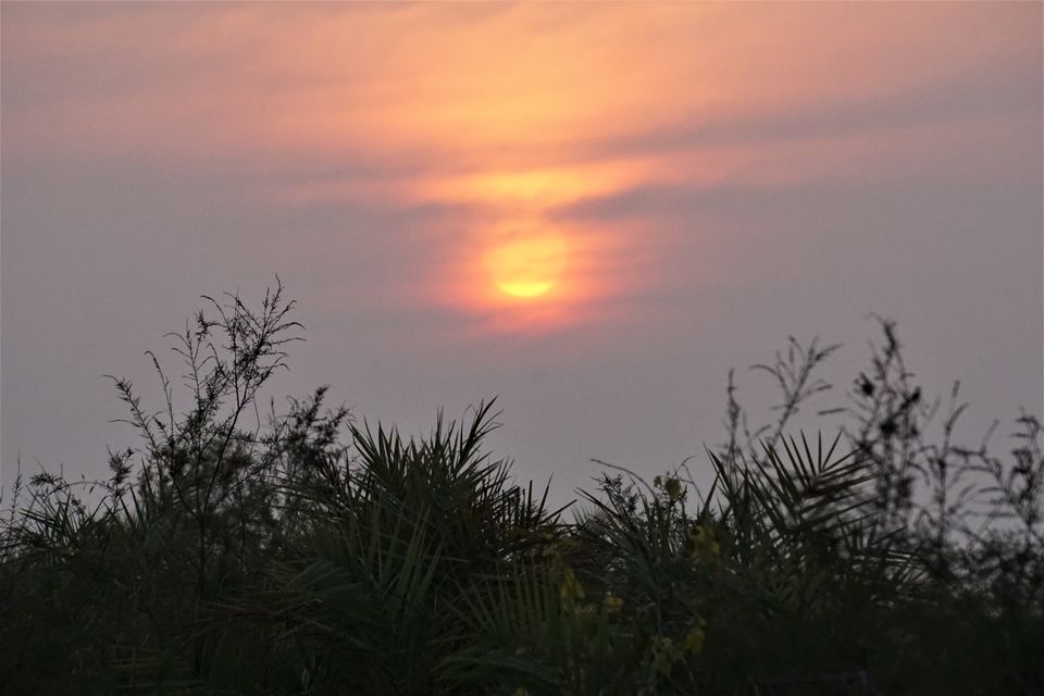 Photo of The Drongo and the Sun: The People and Landscapes of Odisha 6/41 by Rupa Abdi
