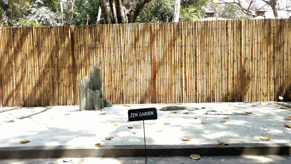 Photo of DELHI HEIGHTS: 2.Six Seasons and the Flowers of Phalguna 21/34 by Rupa Abdi