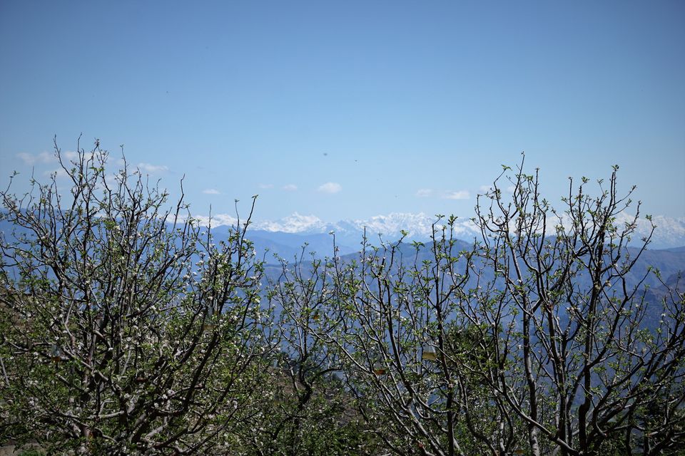 Photo of Gorchha I- Overview: A little known Gem in the Himalayas 4/41 by Rupa Abdi