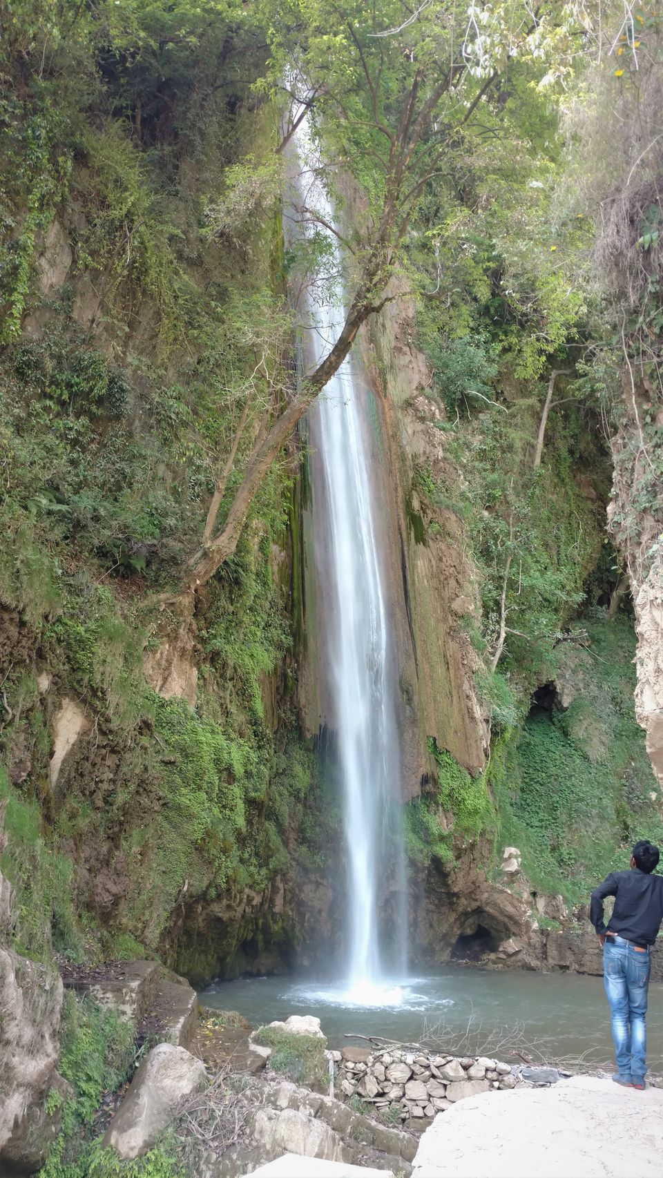 Photo of Gorchha I- Overview: A little known Gem in the Himalayas 41/41 by Rupa Abdi
