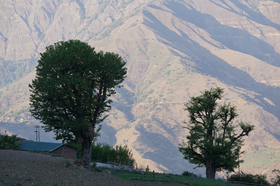 Photo of Gorchha II: The landscapes around Gorchha 3/26 by Rupa Abdi