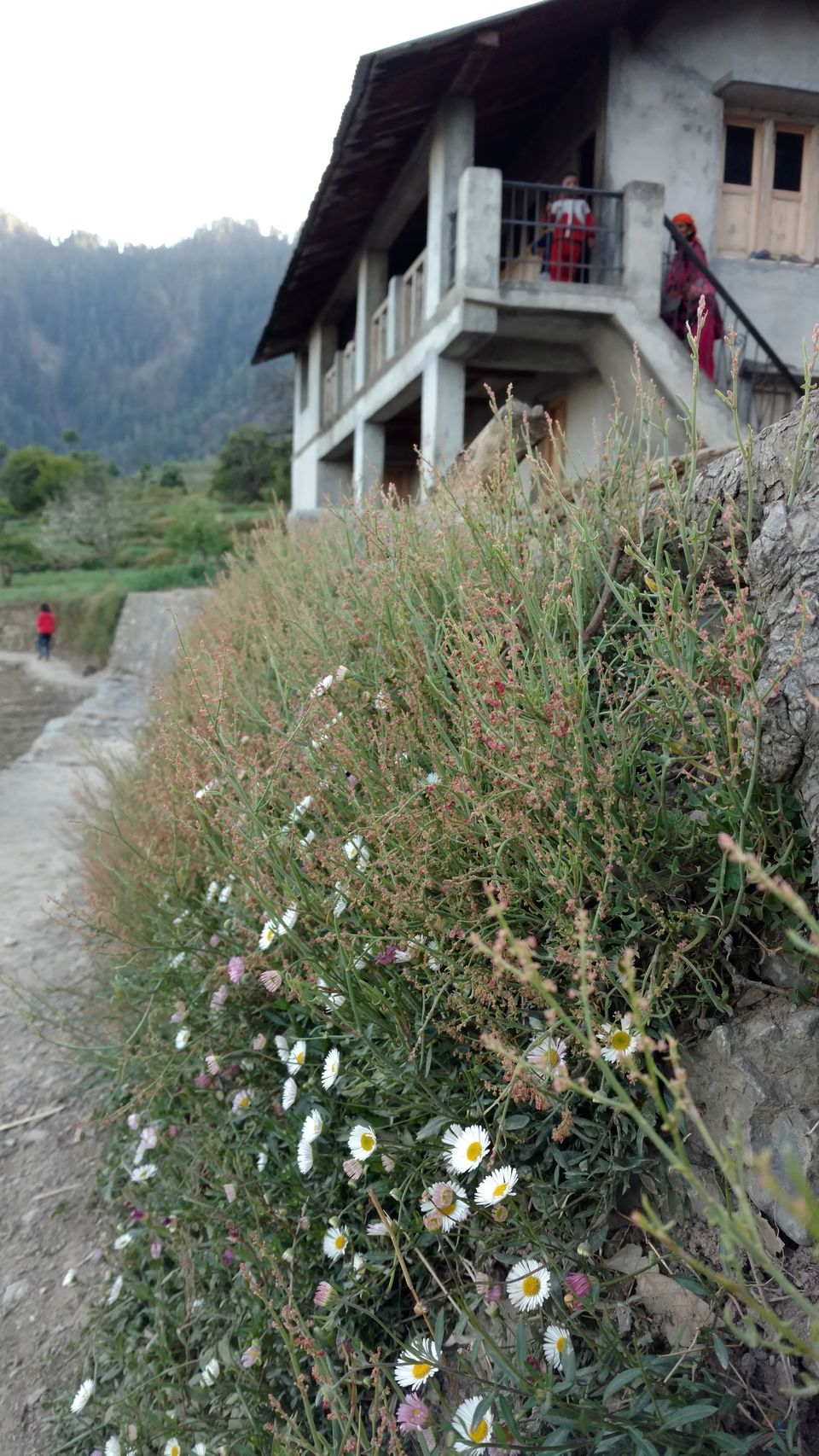 Photo of Gorchha II: The landscapes around Gorchha 16/26 by Rupa Abdi