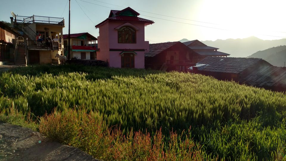 Photo of Gorchha II: The landscapes around Gorchha 8/26 by Rupa Abdi