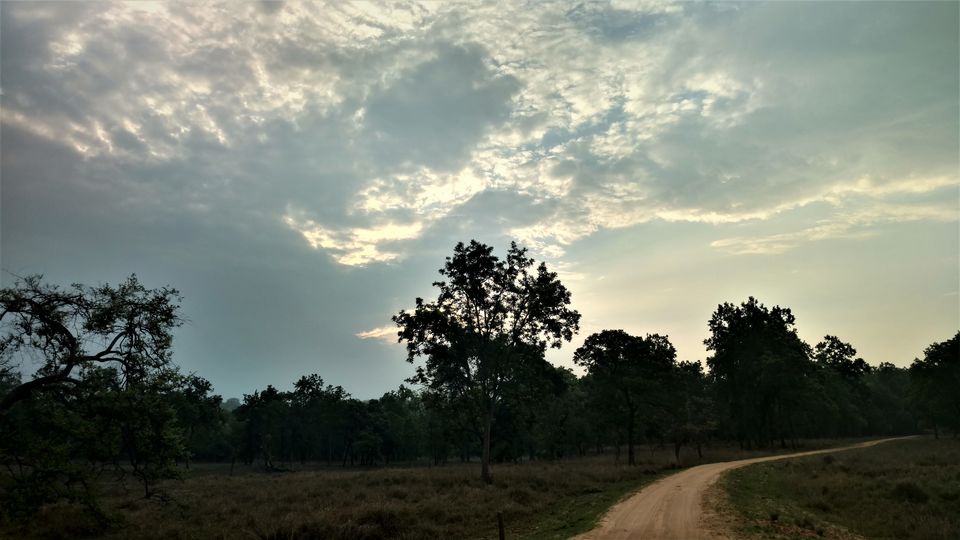 Photo of Holiday Resort Chains, should you become a member? : Club Mahindra, Kanha 2/51 by Rupa Abdi