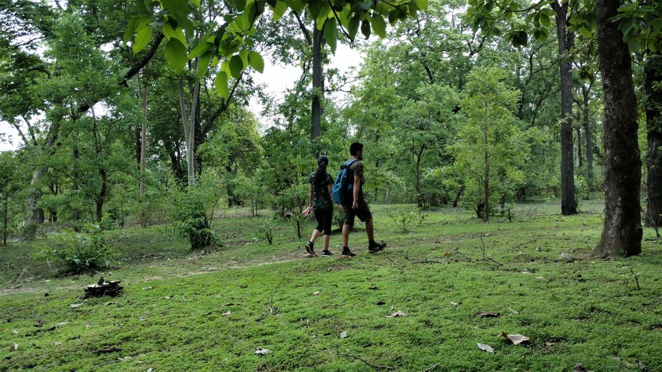 Photo of Holiday Resort Chains, should you become a member? : Club Mahindra, Kanha 3/51 by Rupa Abdi