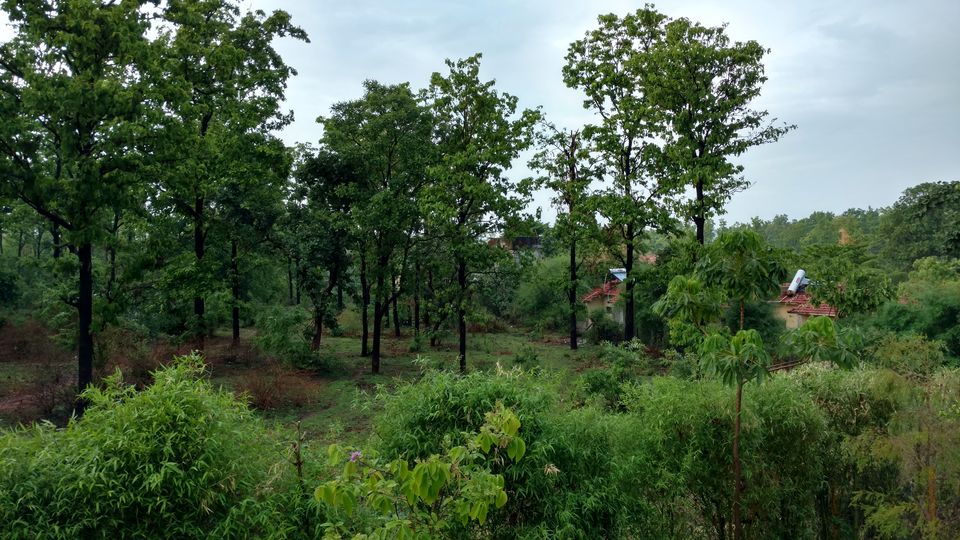 Photo of Holiday Resort Chains, should you become a member? : Club Mahindra, Kanha 7/51 by Rupa Abdi