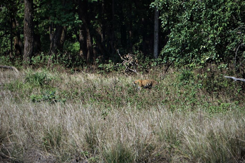 Photo of Holiday Resort Chains, should you become a member? : Club Mahindra, Kanha 14/51 by Rupa Abdi