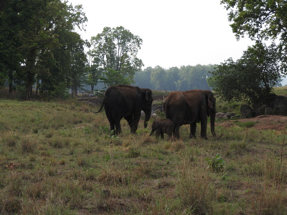 Photo of Holiday Resort Chains, should you become a member? : Club Mahindra, Kanha 22/51 by Rupa Abdi
