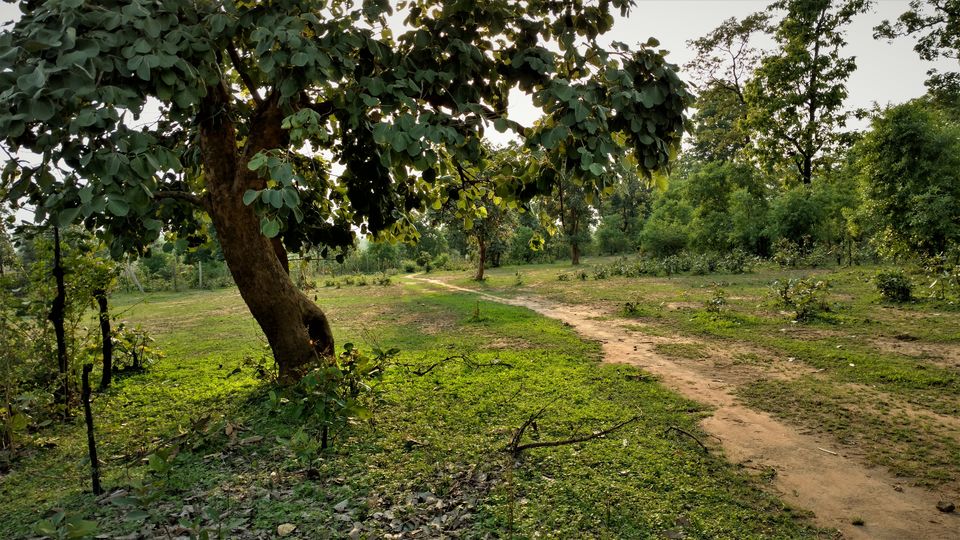 Photo of Holiday Resort Chains, should you become a member? : Club Mahindra, Kanha 31/51 by Rupa Abdi