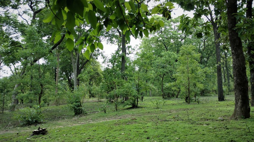 Photo of Holiday Resort Chains, should you become a member? : Club Mahindra, Kanha 32/51 by Rupa Abdi