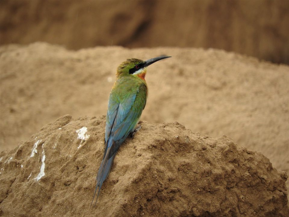 Photo of Holiday Resort Chains, should you become a member? : Club Mahindra, Kanha 33/51 by Rupa Abdi