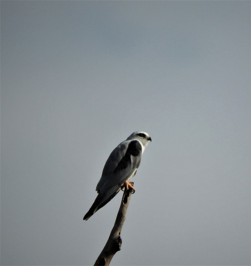 Photo of Holiday Resort Chains, should you become a member? : Club Mahindra, Kanha 34/51 by Rupa Abdi