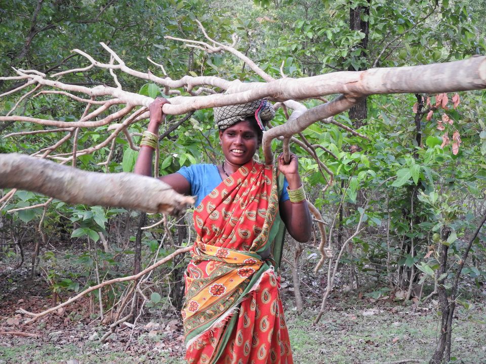 Photo of Holiday Resort Chains, should you become a member? : Club Mahindra, Kanha 41/51 by Rupa Abdi