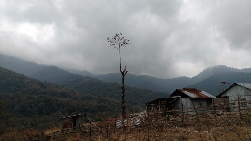 Photo of NAGALAND I: The Land of Valour and Beauty by Rupa Abdi