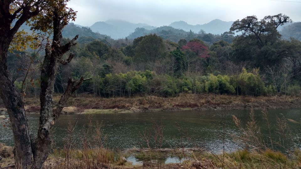 Photo of NAGALAND I: The Land of Valour and Beauty by Rupa Abdi