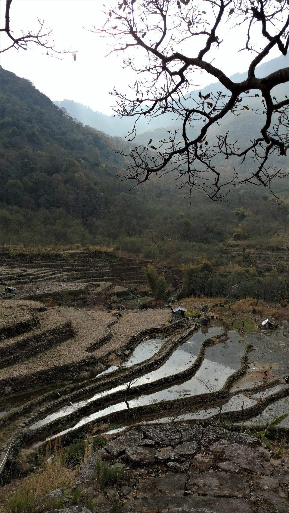 Photo of Khonoma, Nagaland, India by Rupa Abdi