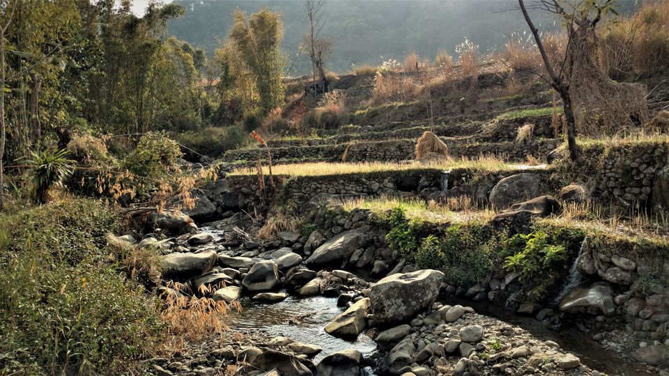 Photo of NAGALAND I: The Land of Valour and Beauty by Rupa Abdi