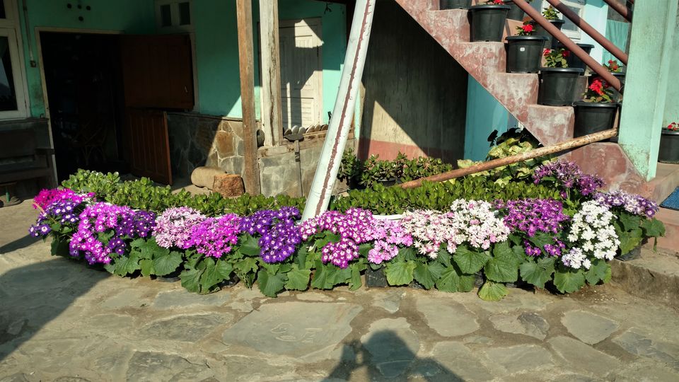 Photo of NAGALAND I: The Land of Valour and Beauty by Rupa Abdi