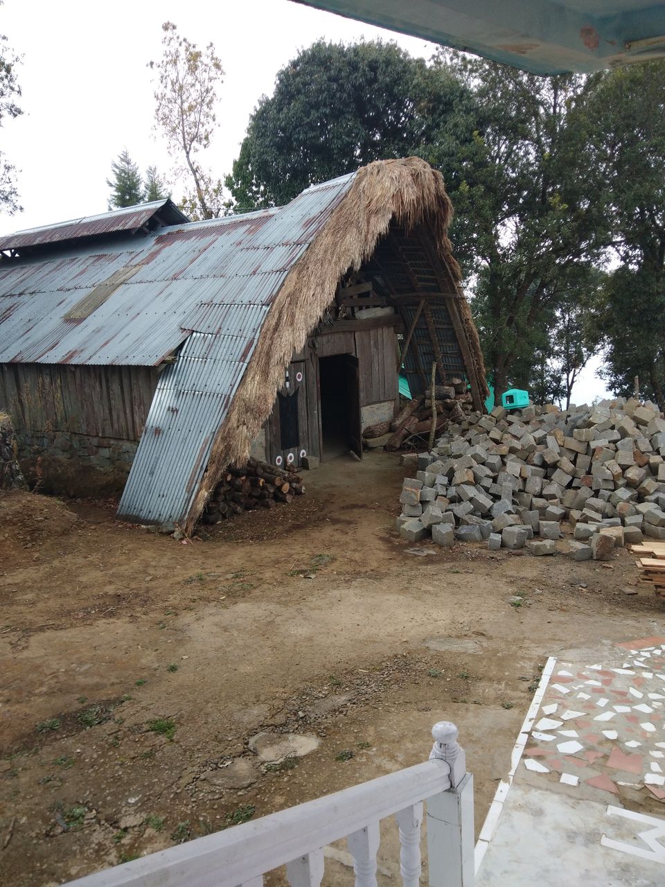 Photo of Benreu, Nagaland, India by Rupa Abdi