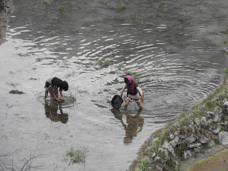 Photo of NAGALAND I: The Land of Valour and Beauty by Rupa Abdi