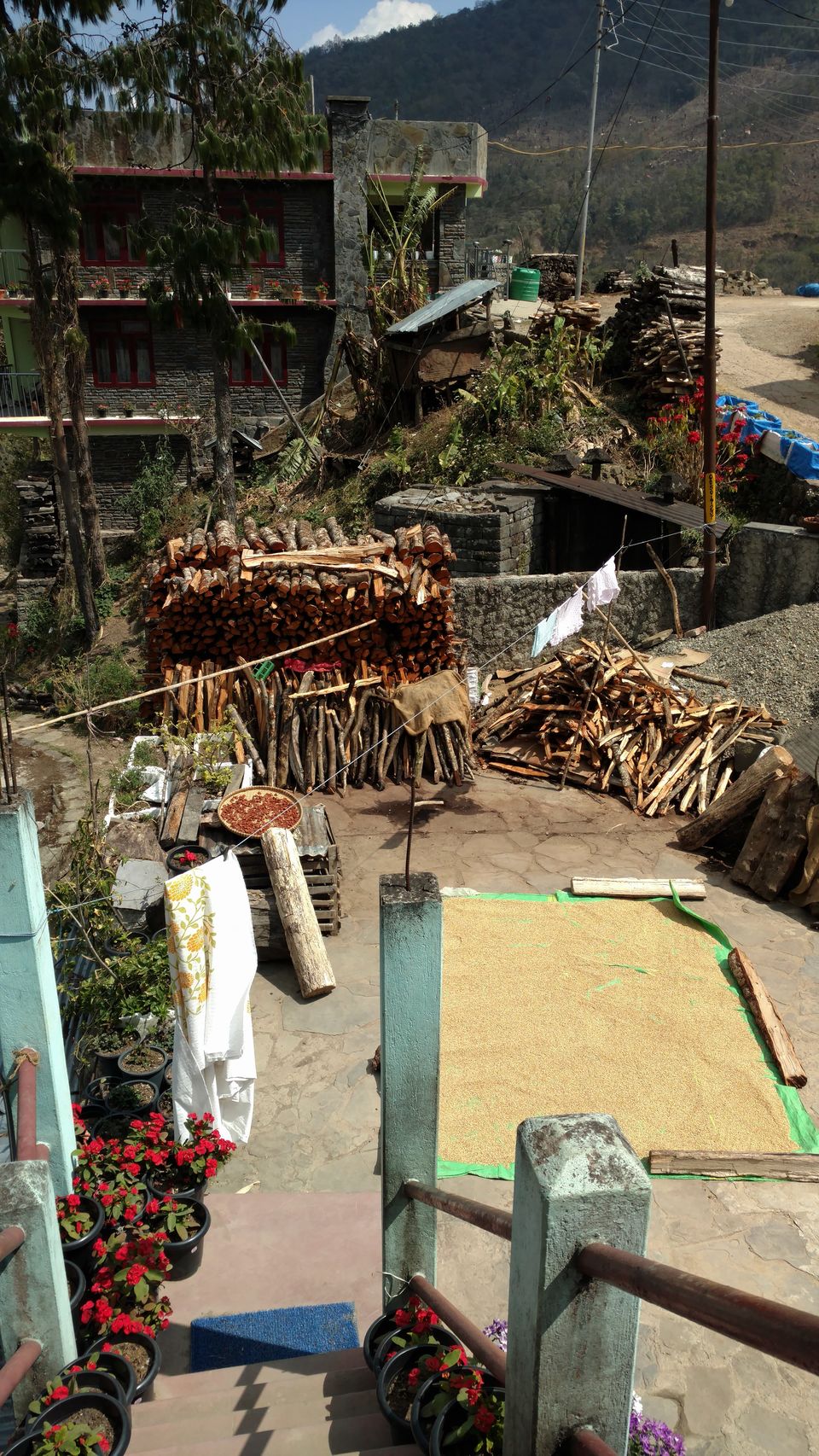 Photo of NAGALAND I: The Land of Valour and Beauty by Rupa Abdi